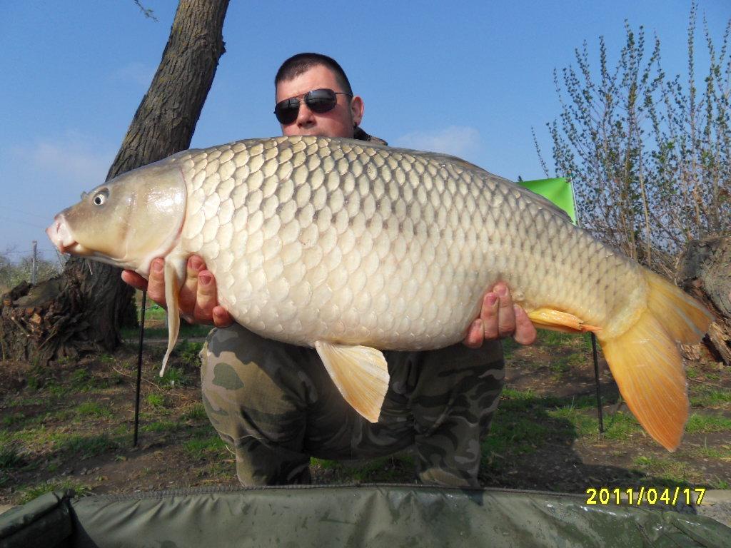 Nagykallo 2012 - rzv2012-132.JPG